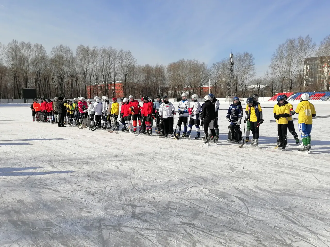 XVIII Областной открытый турнир по хоккею с мячом